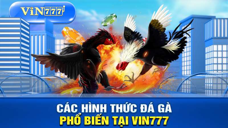 Tóm tắt các loại đá gà phổ biến tại VIN777.