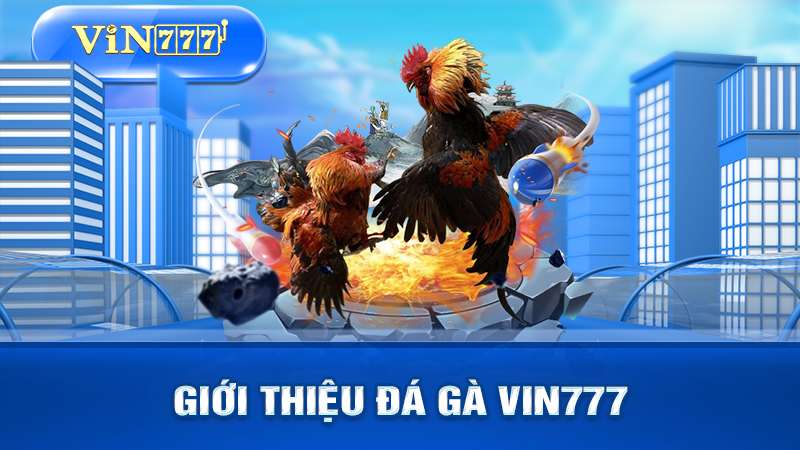 Giới thiệu về sảnh đà gà VIN777.